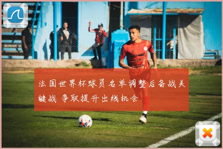法国世界杯球员名单调整后备战关键战 争取提升出线机会